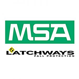 MSA